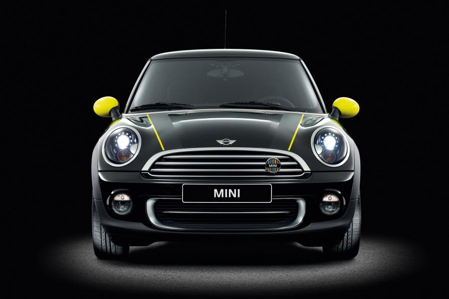  Mini Ray Line 2012 года  (фото 10 из 10)